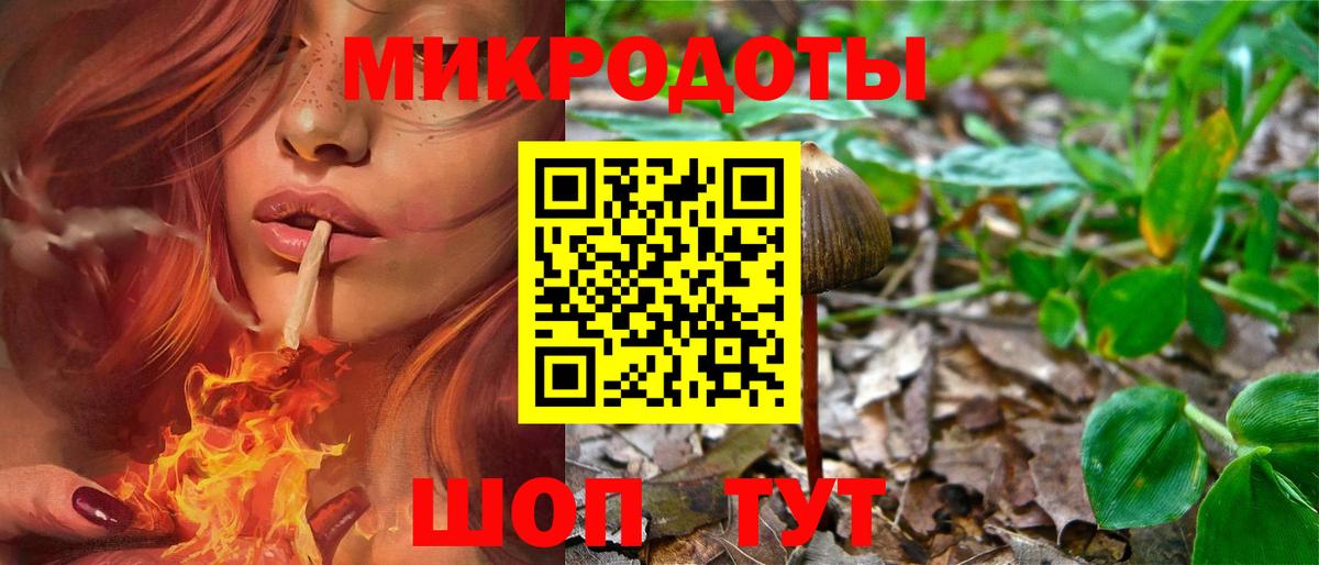 Псилоцибиновые грибы Psilocybine cubensis  Вход с VPN  Луховицы 