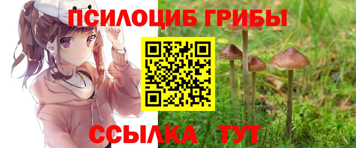 Галлюциногенные грибы мухоморы Луховицы